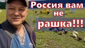 Семья вернулась в Россию и боты вдруг занервничали