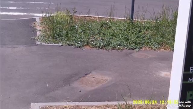 Мариуполь ⛵ столько строительных кранов 🏗️🏗️🏗️ Я не видела со времён СССР. смотреть онлайн