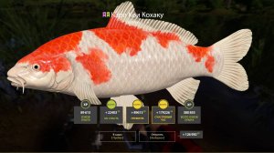 СУПЕР ФАРМ НА МЕДНОМ И РАЗДАЧА ЦВЕТНЫХ ВЕРНУЛАСЬ НА МЕДНОЕ? В РУССКОЙ РЫБАЛКЕ 4 РР4