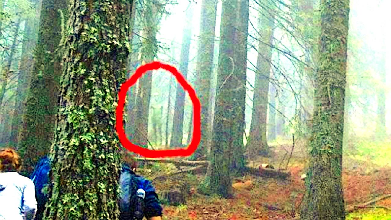 СЕКРЕТНЫЕ ДОКЛАДЫ УЧЕНЫХ  САМЫЕ НЕОБЪЯСНИМЫЕ  АНОМАЛИИ НА ЗЕМЛЕ И В КОСМОСЕ