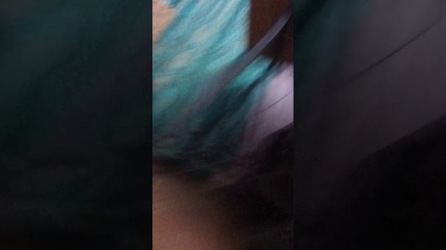 1000040095.mp4 смотреть онлайн