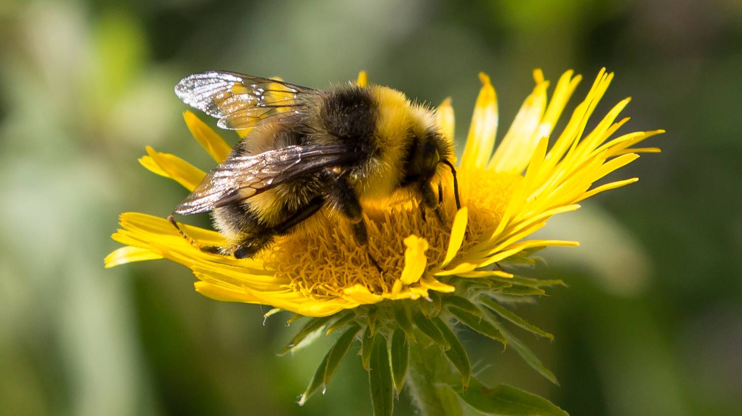 Велопробег в поисках клевых мест во время половодья смотреть онлайн