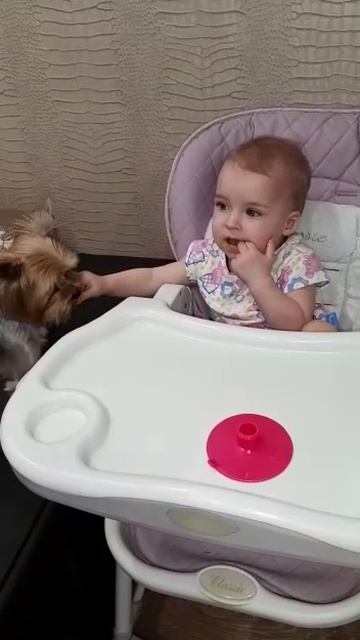 1000001694.mp4 смотреть онлайн