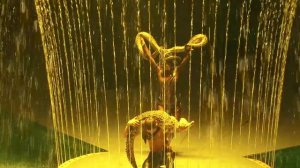 Цирк на воде LNT