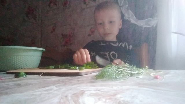 Дима и Питомцы