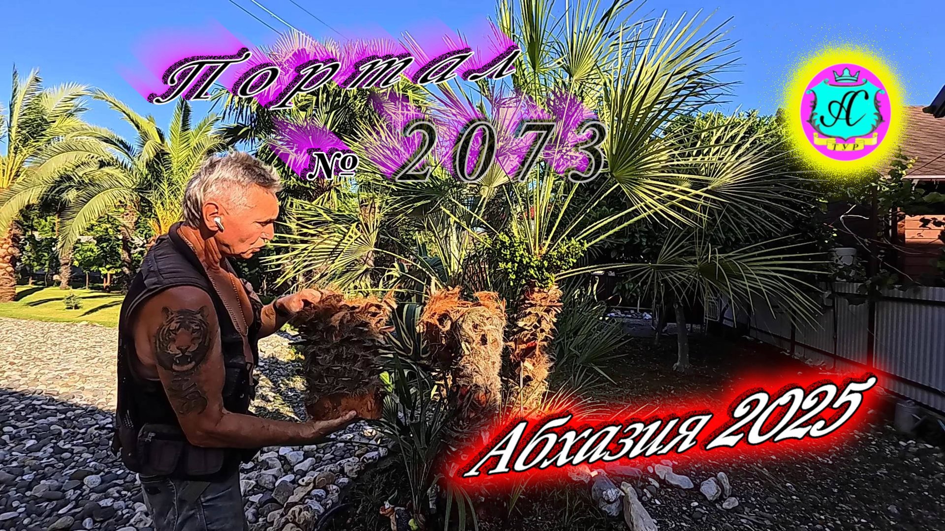 #Абхазия2025🌴 25 июня. Выпуск №2073🌡вчера +27°🌡ночью +16°🐬море +23,6°❗ смотреть онлайн