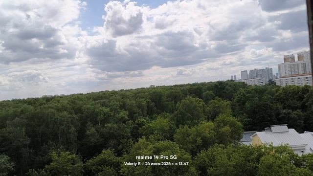 Лесопарк Лосиный остров 🌳🌲🌳🌲 24.06.2025 смотреть онлайн