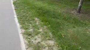 Тайные тропы