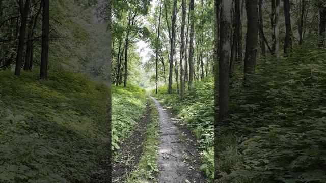 Советы для начинающих заводчиков №1