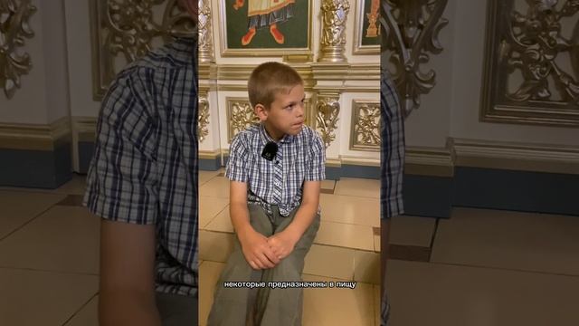 Почему животным нельзя в храм / Мама, мне батюшка так сказал