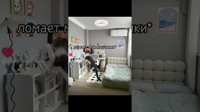 Подборка смешных видео с лайка смотреть онлайн