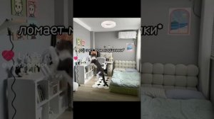 Подборка смешных видео с лайка