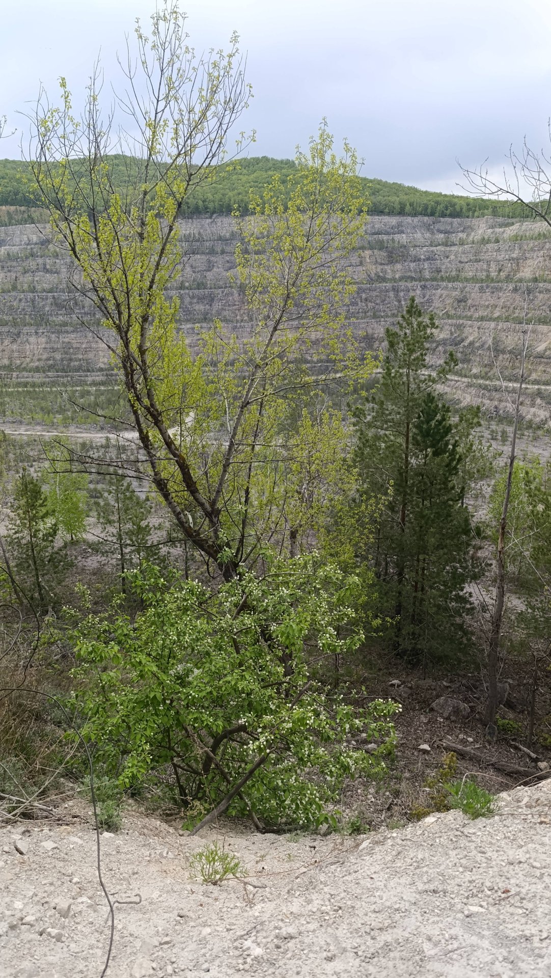 Заброшенные Каменоломни реки Сок смотреть онлайн