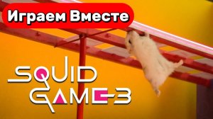 Вместе с Умным Хомяк играем в ИГРУ В КАЛЬМАРА ! Игрушечные Испытания для Хомяка 🐹