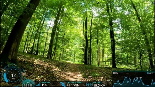 Видео для велотренажёра -  Sunshine Mountainbike Indoor Cycling Workout