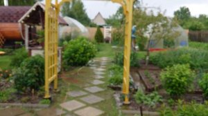 Град Ивановская область 14:15 25 июня 2025 года