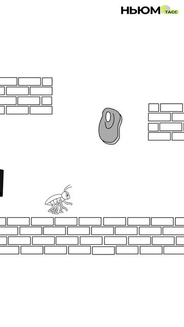 Не оплачивают коммуналку и угощаются без спроса. Почему тараканы — самые невыносимые квартиранты? смотреть онлайн