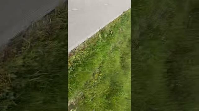 Заброшенная тропа смотреть онлайн