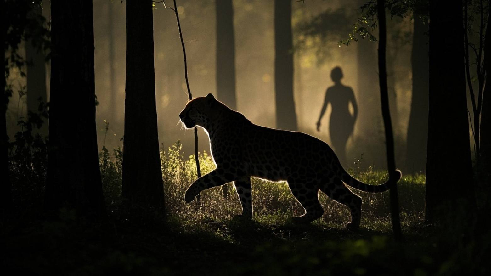 Леопард похитил девочку из дома прямо на глазах у родителей смотреть онлайн