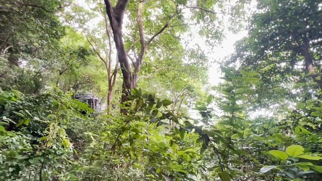 🕶️ Почему мы выбрали Перхентиан? Тропическая правда о Малайзии смотреть онлайн