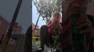 смотрим что у меня в сумке