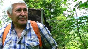 Середина июня