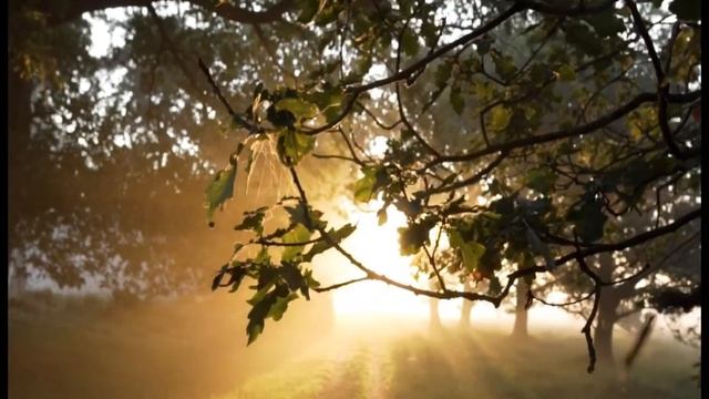 Пой. Гитара, Пой. смотреть онлайн