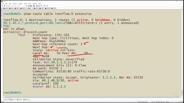 08. Validate FlowSpec смотреть онлайн