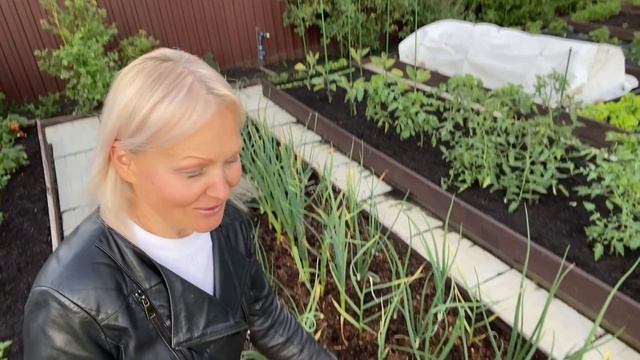 В деревню на дачу🏡#Обзор сада после ливня 🌨️#20июня2025