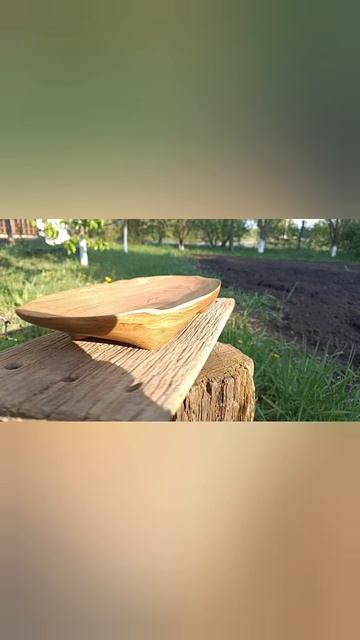 Массив дуба