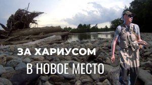 Река Оя. Первый хариус сезона. Рыбалка после запрета.