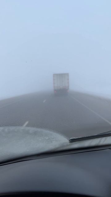 Дорога в никуда