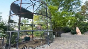 Оказывается парень, прыгнувший ко львам, даже НЕ ЗНАЛ что спасает Олега Зубкова!МЫ СОЗВОНИЛИСЬ!