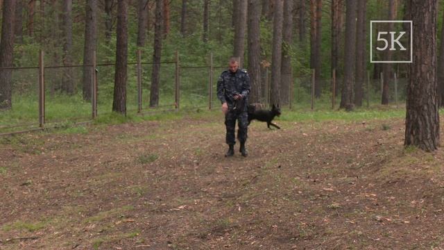 Криминалист, кинолог, сотрудник ГИБДД — сегодня в детском оздоровительном лагере «Огонек» смотреть онлайн