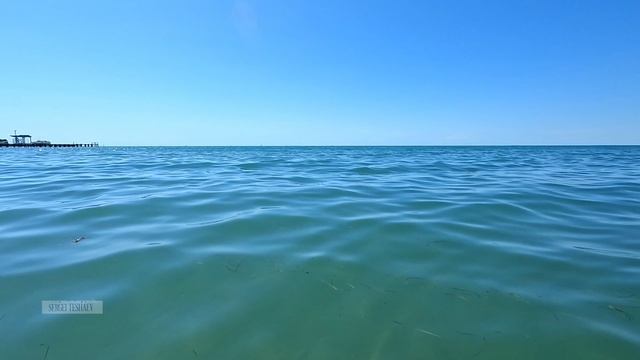 МАЗУТНАЯ ПЛЁНКА ПЛЯЖ ВОЗЛЕ РЕЧКИ АНАПКИ 24 Июня смотреть онлайн