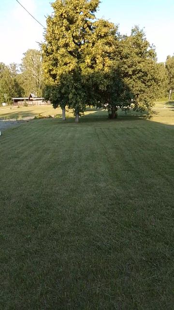 Всем удачных рабочих дней.