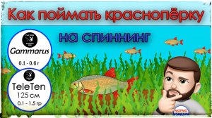 Как поймать краснопёрку на спиннинг. Мормышинг.