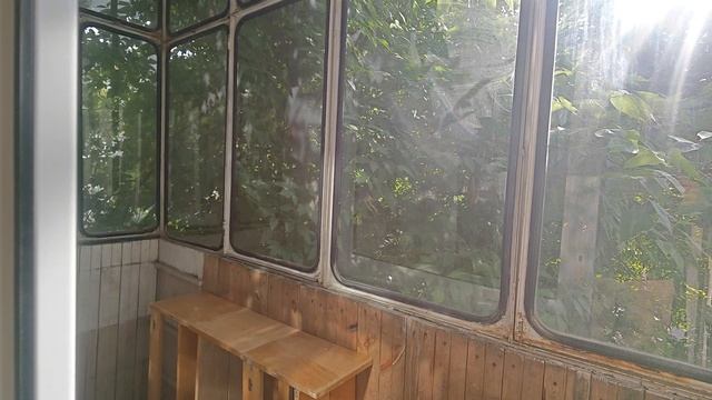 1000021805.mp4 смотреть онлайн