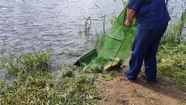 WhatsApp Video 2025-06-24 at 10.19.51 смотреть онлайн