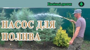 Самый лучший поверхностный насос для полива хвойных растений,насос для полива Кёрхер BP-2,BP-4,BP-5