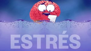 Как работает мозг в стрессе