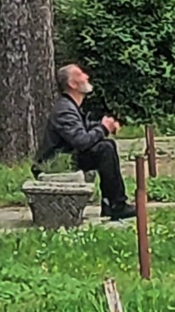 ⛲Очистка парка⛲