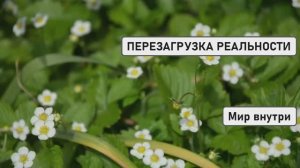 ПЕРЕЗАГРУЗКА РЕАЛЬНОСТИ | Ваша Душа Требует Перемен – Пора Создать Новую Жизнь