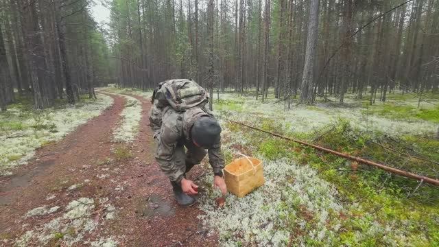 ЗАГЛЯНУЛ В НЕ ХОЖЕННЫЕ МЕСТА И ОБАЛДЕЛ. СБОР БЕЛЫХ ГРИБОВ. ПОХОД В СОСНОВЫЙ БОР ЗА БОРОВИКАМИ. смотреть онлайн