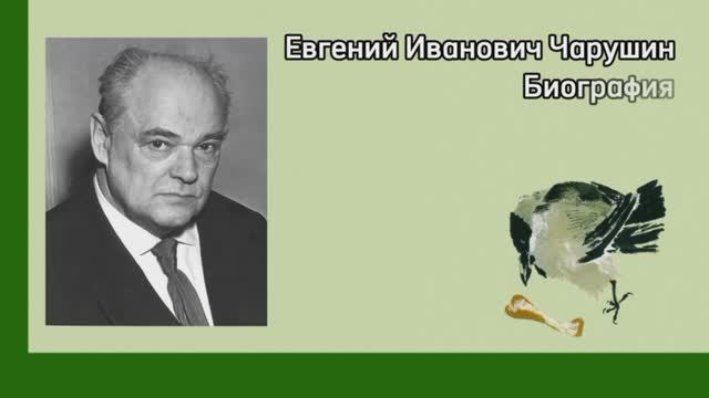 Биография Евгения Чарушина смотреть онлайн