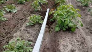 самодельный окучник