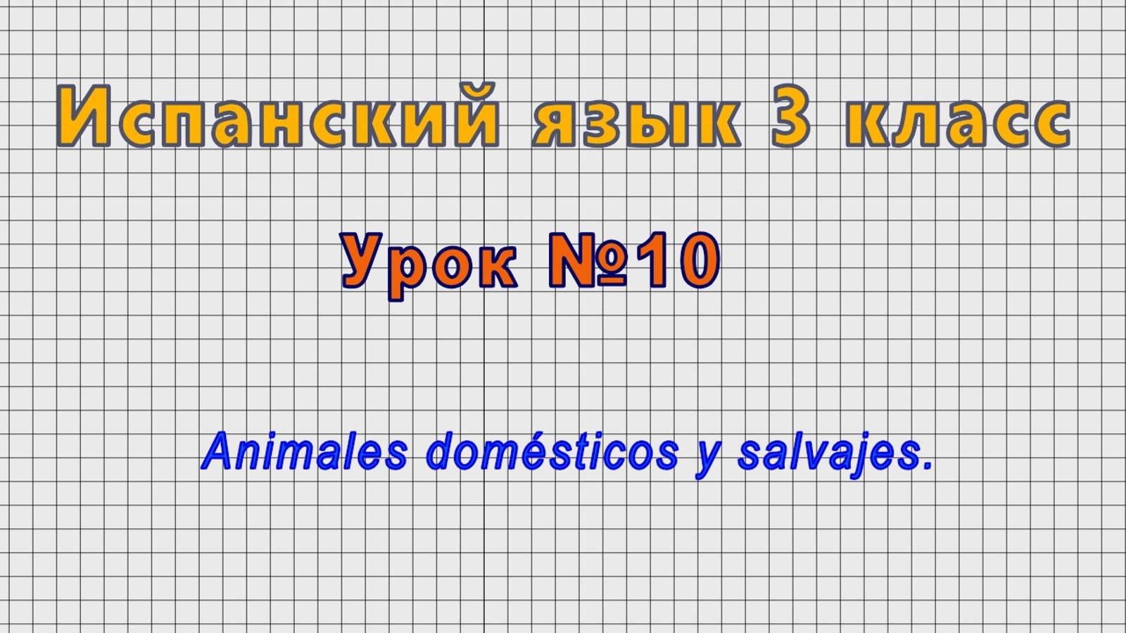 Испанский язык 3 класс (Урок№10 - Animales domesticos y salvajes.) смотреть онлайн