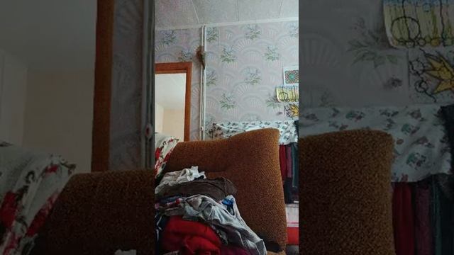 Губы пахнут малиной, девочка аскорбинка 😏 смотреть онлайн
