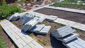 Грядки из тротуарной плитки.