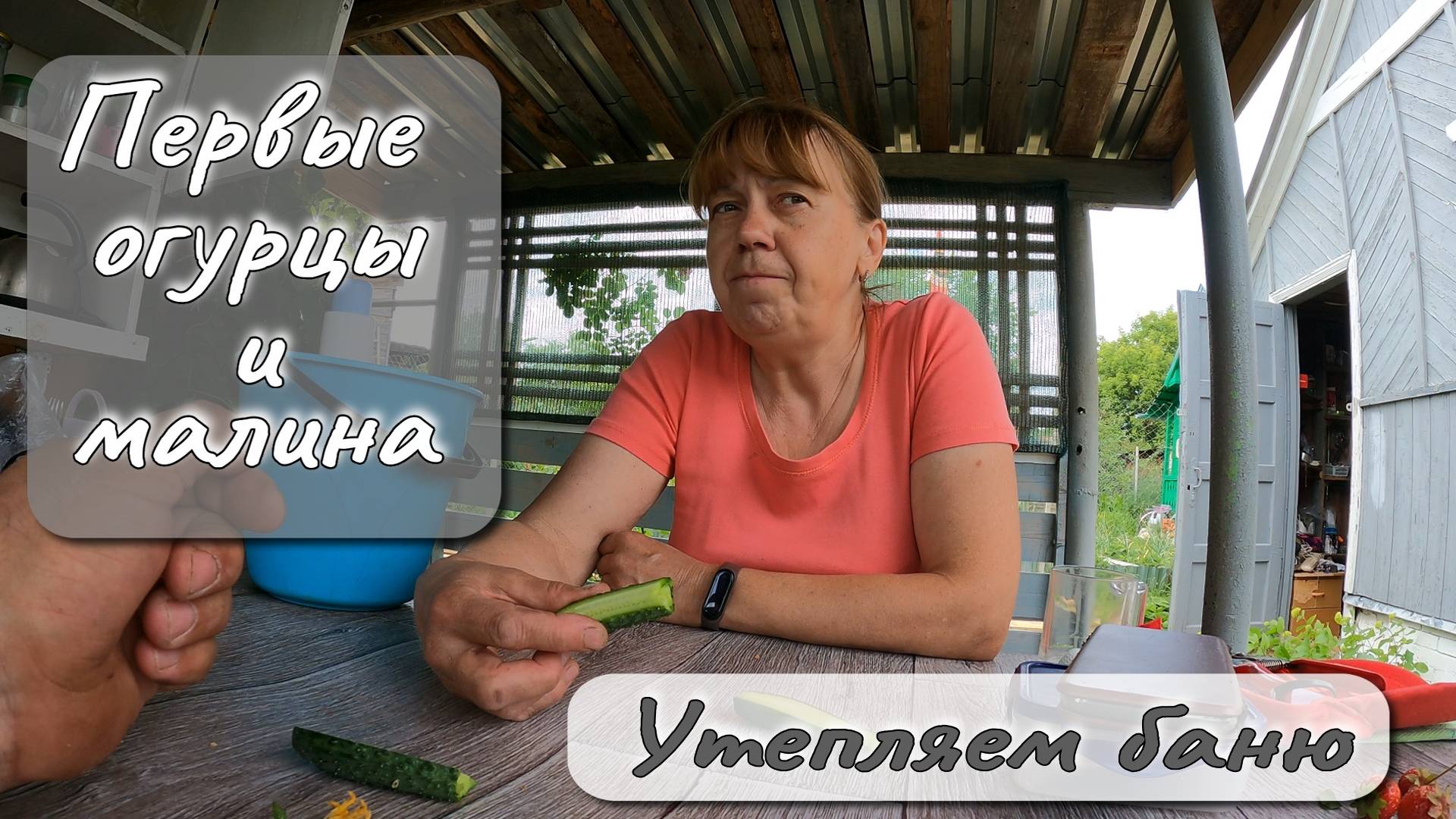 ПЕРВЫЕ ОГУРЦЫ И МАЛИНА УТЕПЛЯЕМ БАНЮ смотреть онлайн